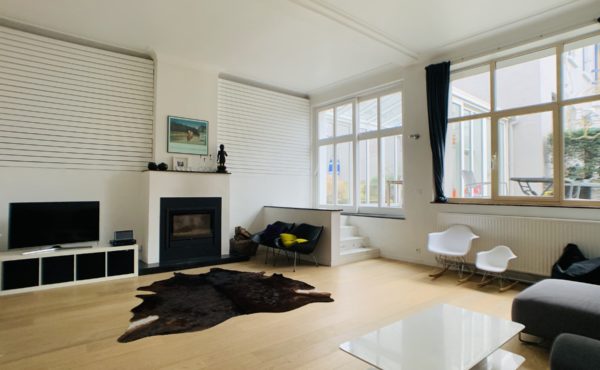 Forest – Vanderkindere